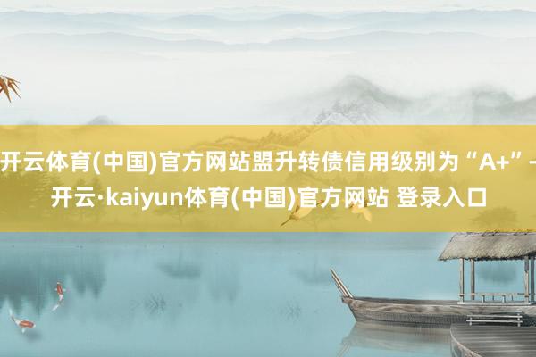 开云体育(中国)官方网站盟升转债信用级别为“A+”-开云·kaiyun体育(中国)官方网站 登录入口