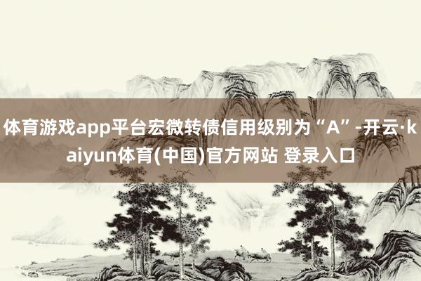 体育游戏app平台宏微转债信用级别为“A”-开云·kaiyun体育(中国)官方网站 登录入口