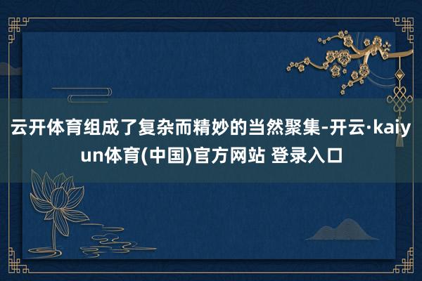 云开体育组成了复杂而精妙的当然聚集-开云·kaiyun体育(中国)官方网站 登录入口